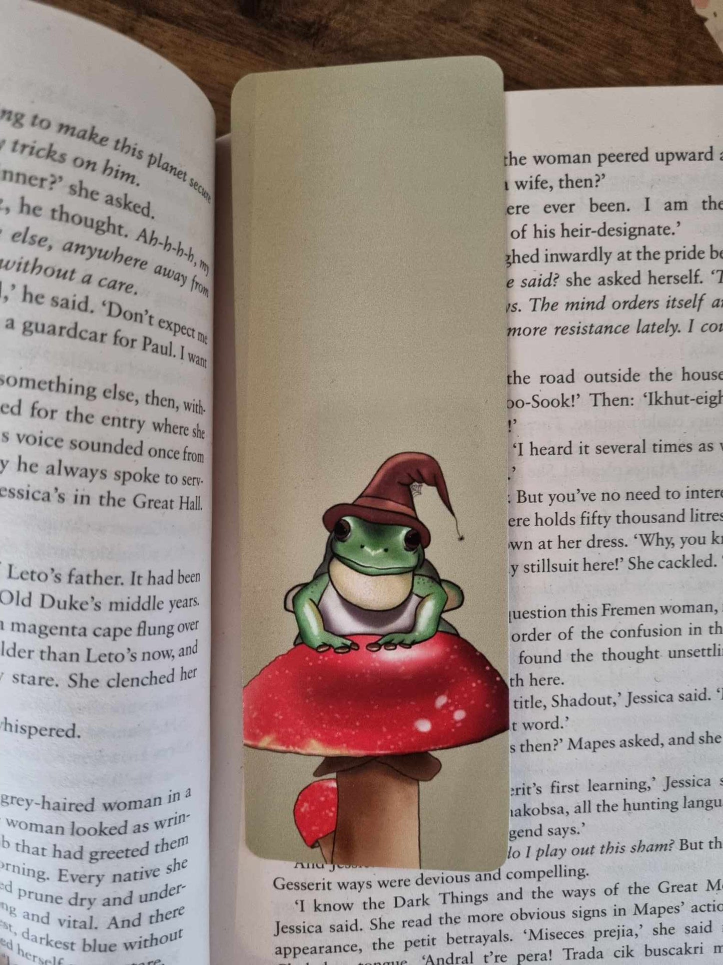 Magical Frog Bookmark