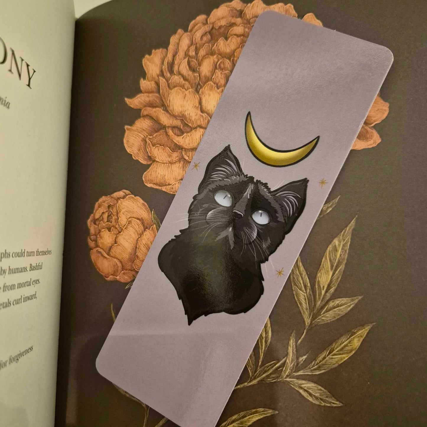 Luna Cat - Bookmark - Gift for readers and book lovers